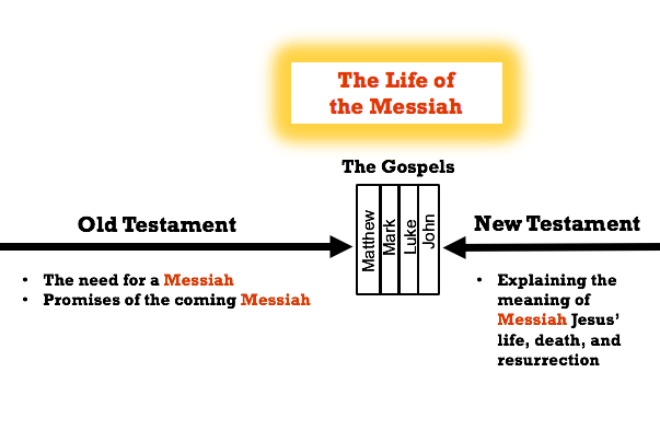 The Main Point Of The Bible Self Study Bible Courses BibleBridge